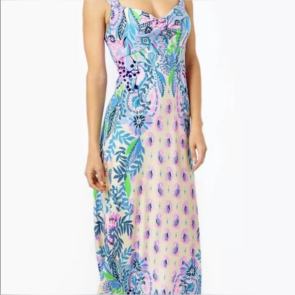 🦄 RARE Lilly Pulitzer Ambria Maxi Dress Macademia Haute Cature Engineered - Picture 4 of 8